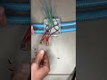 Erreur de débutant en électricité (connexion avec wago dans boîte de dérivation)
