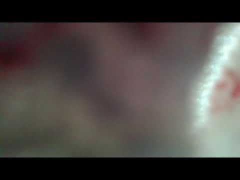 DEUS ESCREVEU A NOSSA HISTORIA DE AMOR  19/02/2026