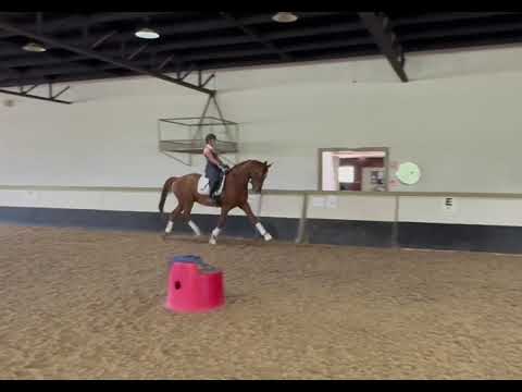 FPS TOP SHELF 4YO INGRID KLIMKE MASTERCLASS