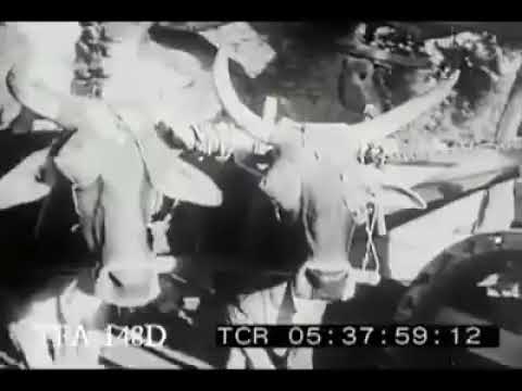 Aalam lohar old song Edited by ABJ