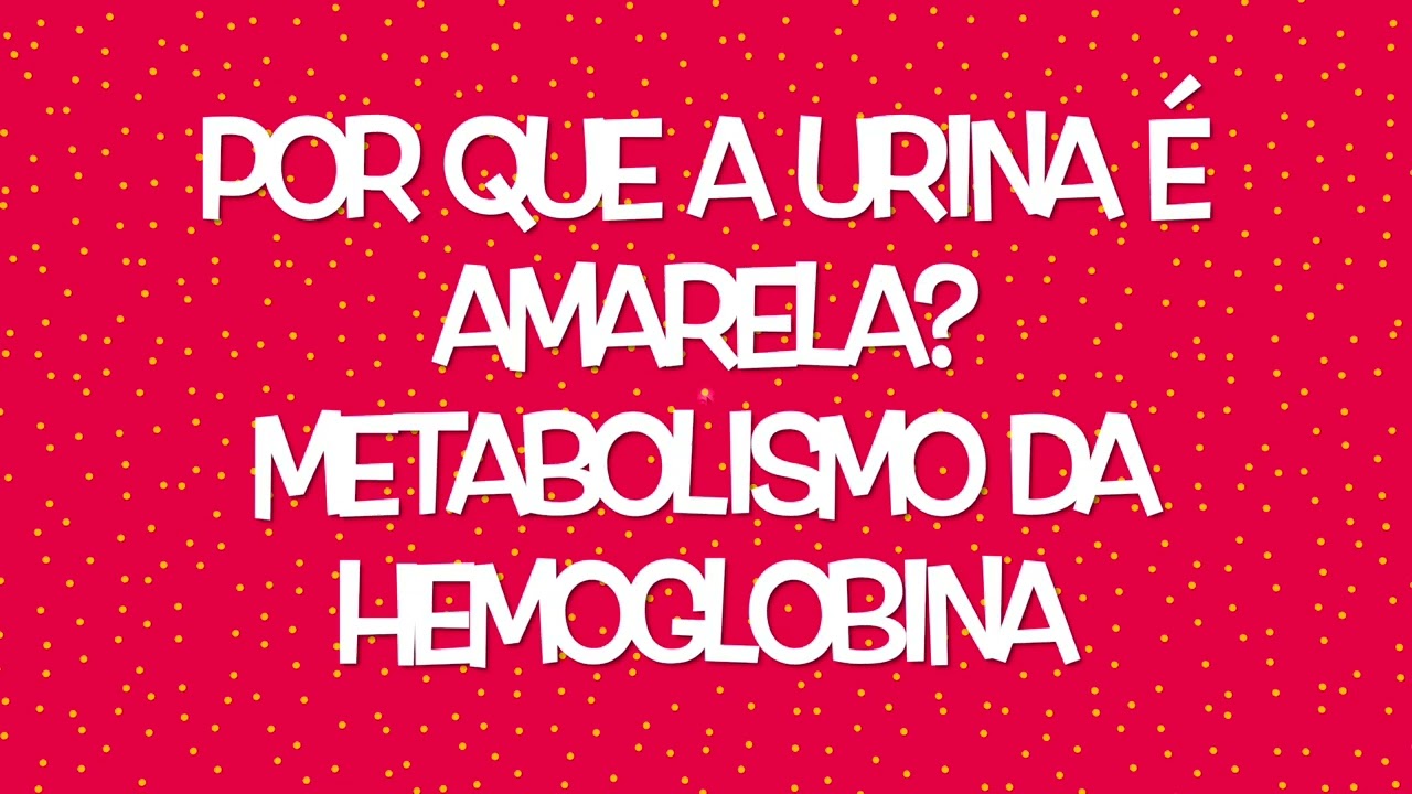 Por que a urina é amarela? Metabolismo da Hemoglobina