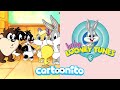 Baby Looney Tunes What S The Secret Cartoonito UK