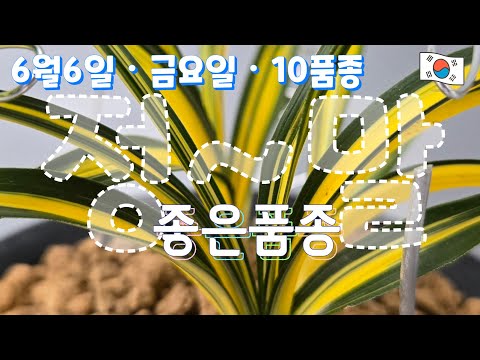 유튜브 썸네일