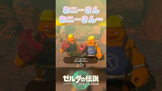カモにされるリンク🦆【ゼルダの伝説ティアーズオブザキングダム】 #ゼルダの伝説 #ティアキン #ゲーム実況  #shorts
