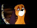 Rox Et Rouky Reniflement