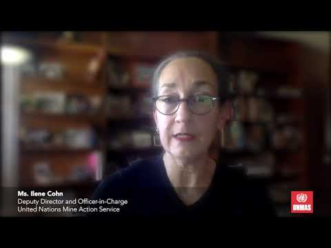 The United Nations Mine Action Service (UNMAS)