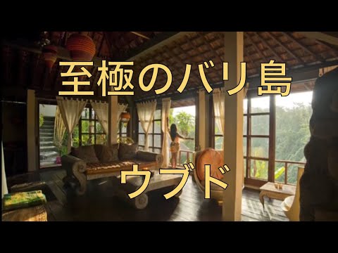 デザイナーズプールハウスを手配するにはどうすればよいですか？  庭園