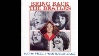 David Peel & The Apple Band. Bring Back The Beatles