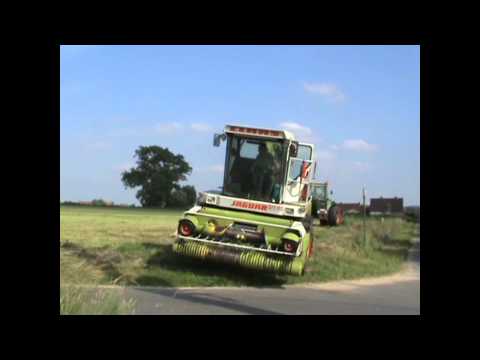 Loonw. Vanneste L. - Wevelgem