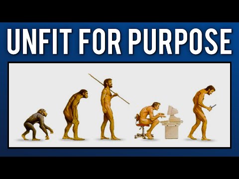 When Human Evolution Collides With The Modern World | Prof. Adam Hart | Modern Wisdom Podcast 192