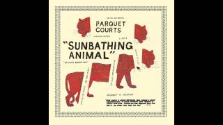 Parquet Courts - Dear Ramona