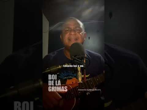 Boi De Lágrimas - Papete
