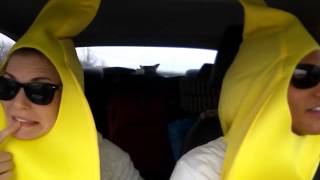 Music Video - "The Rebound" (The Trader Joes Song) - Tristan Prettyman