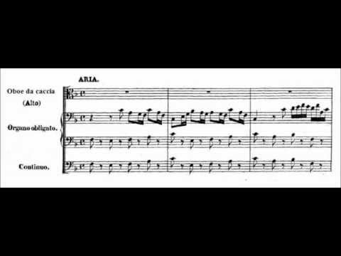 [Aria] "Gott hat alles wohlgemacht!" BWV 35 - Johann Sebastian Bach