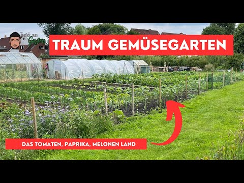 Mega Gemüsegarten - 2000qm² Wahnsinn bei Felix Hobbygarten
