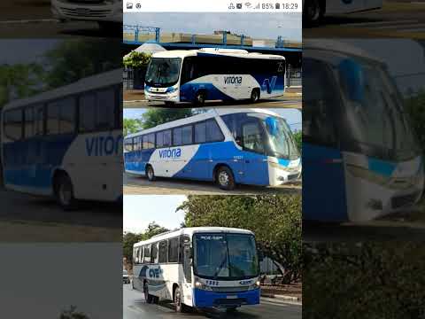 cve tur assume o contrato da Vitória Transportes em Campo do Brito Sergipe