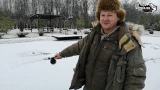 Левобережный пруд платная рыбалка