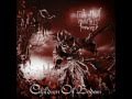 Children Of Bodom - Was It Worth It? (Lyrics Video)
