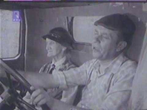 Jare - Oj livado rosna travo (Pajina omiljena pesma)