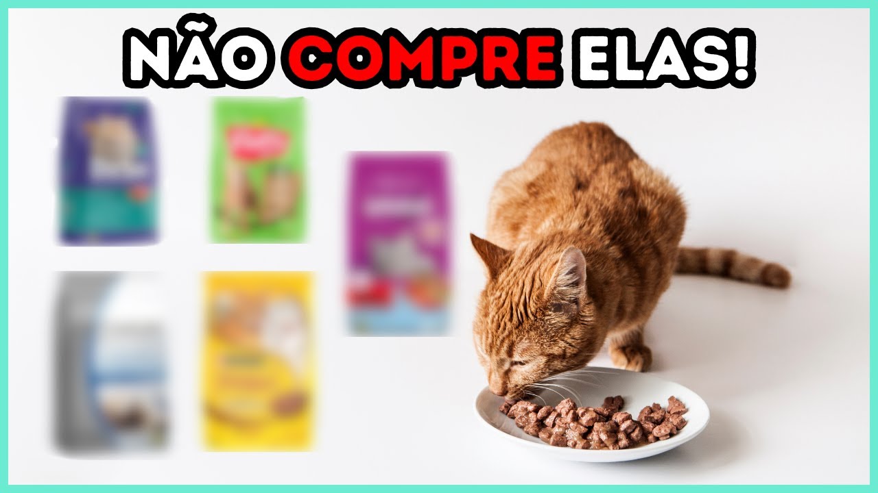As Piores Rações De TODAS Para Gatos (2024)