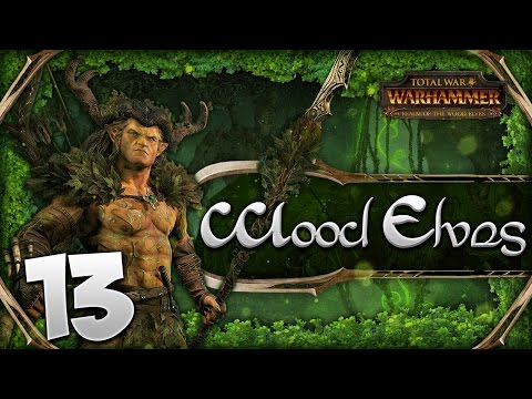 BRANCHING OUT! Total War: Warhammer - Wood Elves Campaign #13