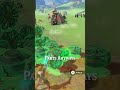 You Know You Ve Played Too Much Zelda When Totk