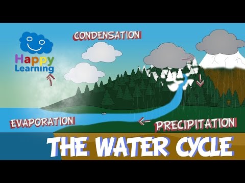 The Water Cycle | Educational Video for Kids