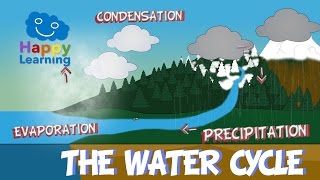 The Water Cycle  Educational Video for Kids