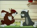 Sufferin' Cats