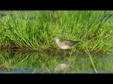 "W służbie natury" - Retencja (Sezon 2015)