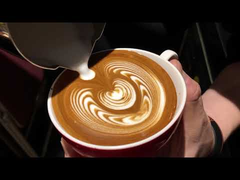 [CUZA] 쿠자쿠자 라떼아트. Latte art WingTulip.
