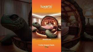 Turtle Shaped Beds 🐢🛏️