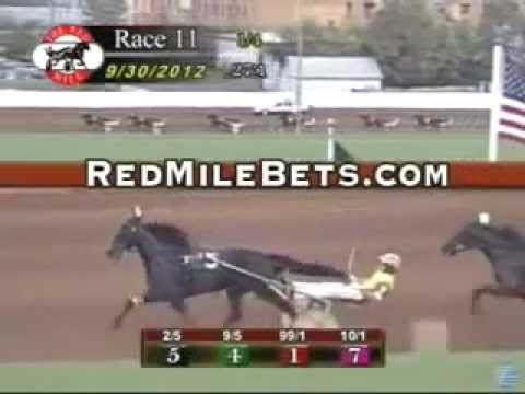 Bluegrass Dunroven Stud Trot 2012 -Check Me Out