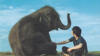 星になった少年 Shining Boy & Little Randyを弾いてみた【Piano】