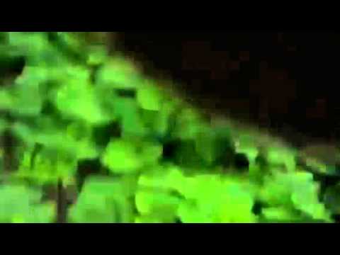 Rally città di Camaiore 2012 Fabio-Egiodio by Magisto