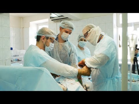 Болит поясница месячных нет тест положительный Аппликатор для снятия боли в спине