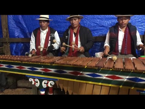 Marimba San Sebastián en Todos Santos Cuchumatan 2023 Fiesta 🎉