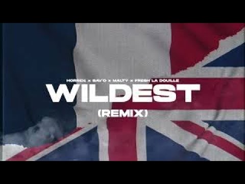 Horrid1 x Sav'o x Malty 2BZ x Fresh La Douille - Wildest (French Remix)