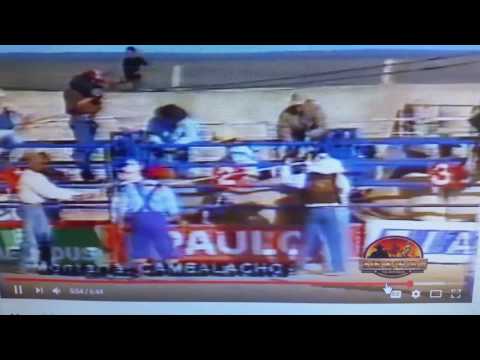 Mozart Rodrigues o arara