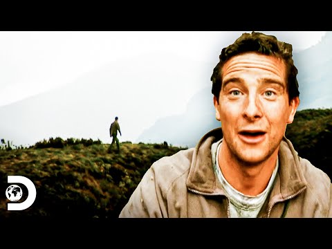 Bear crosses the Andes and reaches the Amazon | Man vs. Wild | Discovery Latin America