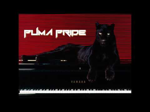 Skryonic - Puma Pride (Surprise Box Rework)