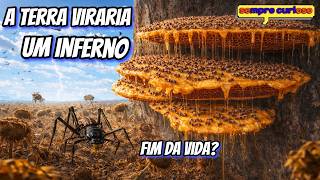 A Luta Brutal Dos Animas Pela  Sobrevivência Do Planeta