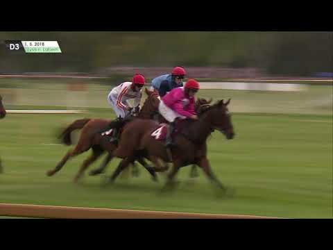 LL, 1. 5. 2018, 3. dostih - STEEPLECHASE SPOLEČNOSTI PRAGIS