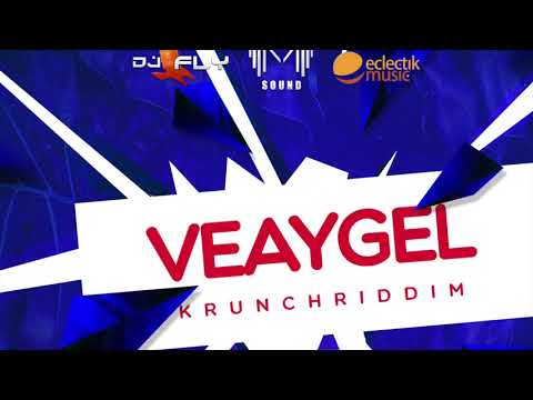 DJ FLY & TMT SOUND Feat VEAYGEL - You Bad