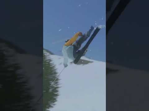 Quick clip
