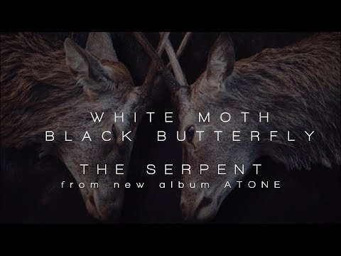 White Moth Black Butterfly - The Serpent (from Atone)