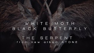 White Moth Black Butterfly Chords