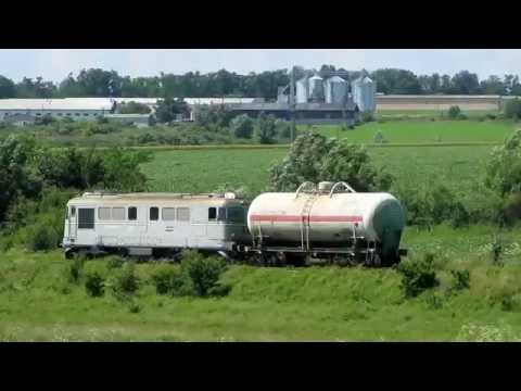 CFR Marfa 1-car freight train near Dornesti (June, 2016)