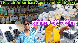 Howrah Ankurhati Aquarium Fish Market | Aquarium Fish Price | Ankurhati Pet Market | Howrah Pet Haat