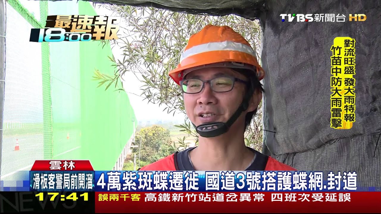 4萬紫斑蝶遷徙　國道3號搭護蝶網、封道